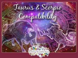 Taurus And Scorpio Compatibility Friendship Love Sex