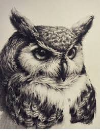 Big Bird With White Head And Black Body Owl Tattoo Realistic Black And White Owls Drawing Owl Tattoo Owl Tattoo Design