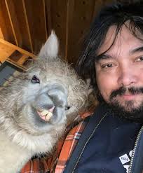 Alpaca farm closing up shop