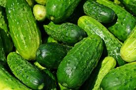 How To Grow Pickling Cucumbers In A Container Allotment Gardens