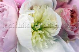 Flower delivery by a professional local florist when ordered before 2pm. New Peony Bouquets From Flowers24hours Flower Delivery Shop