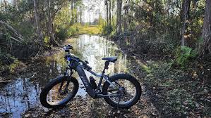 Bought 2 new Aventon Aventure.2. Any thoughts