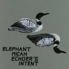 Elephant Micah Untrained Architecture Lyrics Genius Lyrics