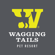 Maybe you would like to learn more about one of these? Dog Boarding Eagan Mn Wagging Tails Pet Resort