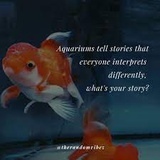 Israel is not an aviary. ― abba eban. Top 40 Aquarium Quotes And Captions For Your Fish Love
