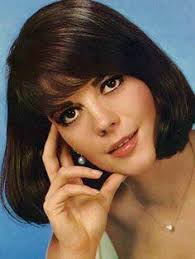 Natalie Wood "Sex and the Single Girl" (Richard Quine, 1964)