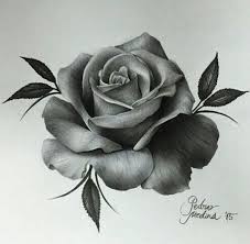 Chicano Arte Rose Sketch Rose Tattoos Rose Art
