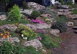 как сделать альпийскую горку на даче своими руками фото Alpijskaya Gorka Na Dache Svoimi Rukami 34 Shemy I Foto Kak Sdelat Moi Idei Dlya Dachi I Sa Landshaftnyj Dizajn Zadnego Dvora Dizajn Sada Kamnej Sad Na Sklone