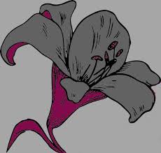 SO-LO FLORISTAS YUNCLER