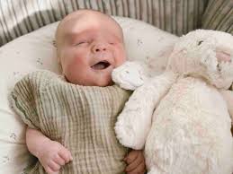 Fundraiser by Hannah Cleeve : Fred's story