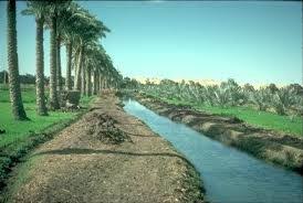 نتيجة بحث الصور عن ريف مصر الجميل Country Roads Outdoor Road