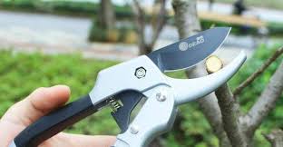 Jun 28, 2021 · sharpen shears from top to bottom. How To Sharpen Garden Shears A Step By Step Guide Gustafs Greenery