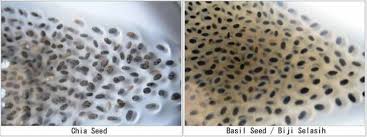 Salah satu perbedaan yang paling jelas adalah chia seed dan biji selasih berasal dari tanaman yang berbeda dari lokasi yang berbeda juga. Pocket Chia Seed Chia Seed Bukan Biji Selasih Perbezaan Antara Chia Seed Dan Biji Selasih Ramai Yang Masih Keliru Di Antara Chia Seed Dengan Biji Selasih Basil Seed
