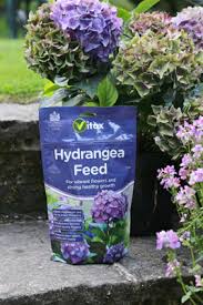 A fertilizer low in phosphorus and high in potassium is helpful in producing a good blue color (25/5/30 is good. Getting The Best From Hydrangeas Garden World