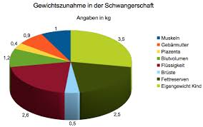 Die gewichtszunahme in der schwangerschaft fällt sehr unterschiedlich aus und hängt von individuellen faktoren wie ihrem gewichtsregulation während der schwangerschaft. Gewichtszunahme In Der Schwangerschaft Litia De