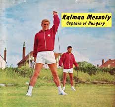 Meglepetés, az irigy hónaljmirigy így köszönti mészöly kálmánt. Behind The Curtain Eastern European Draft The Winner Skizzo Redcafe Net