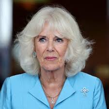 Princess Diana Once Sought Advice from Photographer Anwar Hussein About  Interfaith Marriage