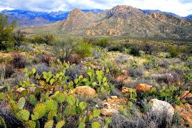 You can use google maps to find a trekking trail for the most of the treks. Now Visible On Google Street View Arizona State Parks Rving With Rex