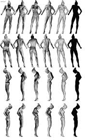 This article looks at female body parts and their functions, and it provides an interactive diagram. Female Body Reference Anatomy 360