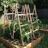 Craft a simple diy trellis for vegetables and plants, privacy, or for an accent in your garden. 1