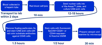 Colorectal cancer screening saves lives. Biomedicines Free Full Text Assessing Clinical Outcomes In Colorectal Cancer With Assays For Invasive Circulating Tumor Cells Html