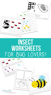 Free Insect Worksheets For Kids In 2020 Worksheets For Kids Printable Activities For Kids Preschool Worksheets