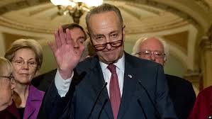 Schumer to Lead Democrats, McConnell to Lead Republicans in US Senate