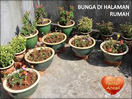 Wak jeng nyanyi lemak manis dan bunga ros bikin gamat. Ct320 Kebun Fatima 3 Bunga Kembang 10 Pagi Ros Jepun Laman Menulis Gaya Sendiri G2