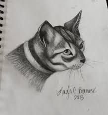 Pencil Shading Sketches At Paintingvalley Com Explore Collection Of Pencil Shading Sketches If you want to learn how to bring an ideal picture all you need is time and realistic pencil portrait mastery guide from here my personal preference for drawing and shading portraits is using a charcoal pencil combined with soft.