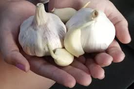 5,033 likes · 312 talking about this. Vitrenko Yurij Yurevich Foto Citaty Biografiya