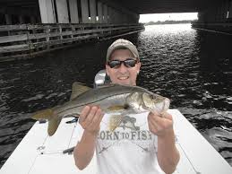 They will take a jig, swimbait or fly, but most anglers favor the explosive bite. Snook Details Ma Fish Finder