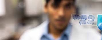 33rd Annual Blue Ridge Highlands Regional Science Fair