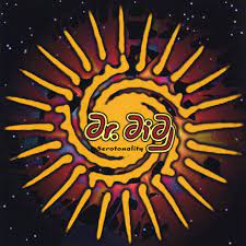 Maybe you would like to learn more about one of these? Brand New Shoes Song By Dr Didg Spotify