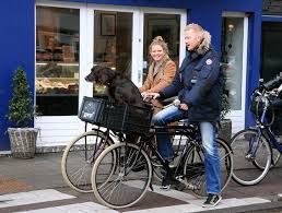 A pet bike basket is often built for a dog's comfort with most models offering cushioning and breathability with mesh vents for cooling. Amsterdam The Netherlands Biking With Dog Cycling City Bike