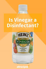 Is Vinegar A Disinfectant In 2020 Vinegar Vinegar Cleaning Vinegar Uses