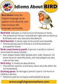 Pin On English Grammar In 2020 Idioms And Phrases English Phrases English Vocabulary Words