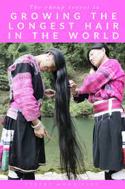 The various hair care products available in the market are loaded with chemicals and are not at all effective in stimulating the hair growth. Rice Water The Cheap Secret To Growing The Longest Hair In The World Expert Home Tips