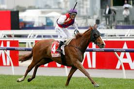 It also means the odds are never fixed. How Does All In Betting Work Bets Com Au