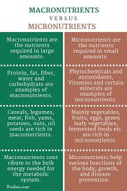 There's no denying the impact food has on health. Difference Between Macronutrients And Micronutrients Infographic Micronutrients Macronutrients Micro Nutrients