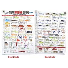 Survive The Elements Afn Nsw Fish Guide Id Card Waterproof