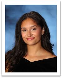 Above and beyond: Here are Dover's scholar athletes for 2023-24