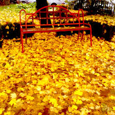 We did not find results for: Musim Luruh Latar Belakang Gambar Foto Dan Kertas Dinding Untuk Muat Turun Percuma