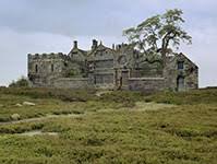 Foundling heathcliff is raised by the wealthy earnshaws in yorkshire but in later life launches a vendetta against the family. Some Tv And Movie Adaptations Of Wuthering Heights