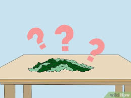 We did not find results for: How To Use Seaweed In The Garden 6 Steps With Pictures