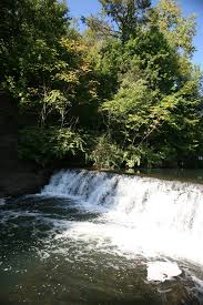 Bronx Park Wikipedia