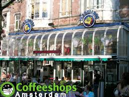 The first shop, now called the bulldog the first, the bulldog havri, or nr90 was ironically situated in the building of leidseplein's former police station. Bulldog Palace Coffeeshops Amsterdam