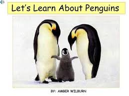 How much is a penguin? Penguins By Jericho Naig What Is Your Animal My Animal Is A Penguin The Penguin Can Swim Fast And They Very Slaw But They Can Catch A Fish Very Fast