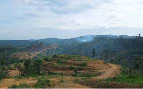 केन्द्रीय वायु सैनिक चयन बोर्ड. Case Study Preliminary Findings From A Review Of The Jurisdictional Approach Initiative In Sabah Malaysia Fpp