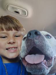 Maddox got his forever family! Thank you for adopting, we are very  grateful! 🐾🐾