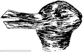 Image result for illusion pictures
